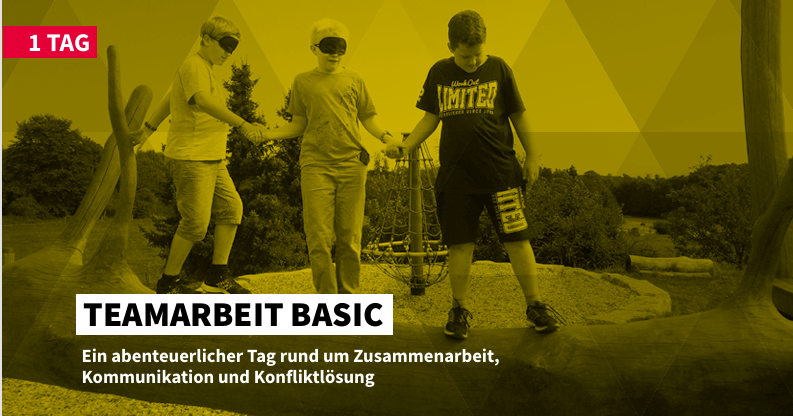 Alt-Teambasic