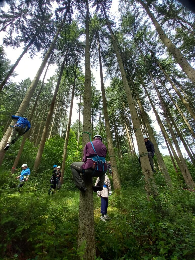 Treehousecamp - TTT - Michelstadt - June 26-1